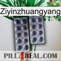 Ziyinzhuangyang 31